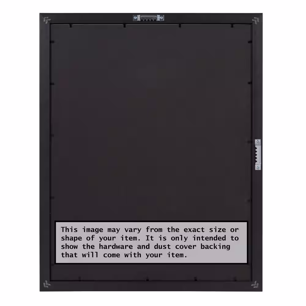 Amanti Art Eva White Silver Narrow Picture Frame Opening Size 24 x 36 in.