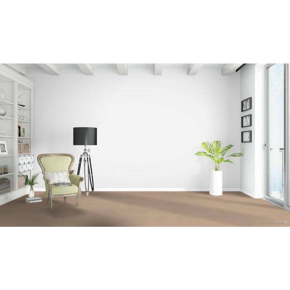 Home Decorators Collection Delicate Flower  - Thrive - Beige 40 oz. SD Polyester Texture Installed Carpet